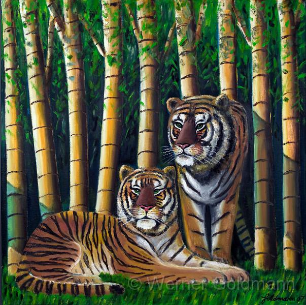 Tiger im Bambus (100x100)cm.jpg - Tiger im Bambus / Tigers in the bamboo (100x100)cm